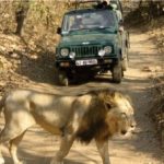 gujarat tour package